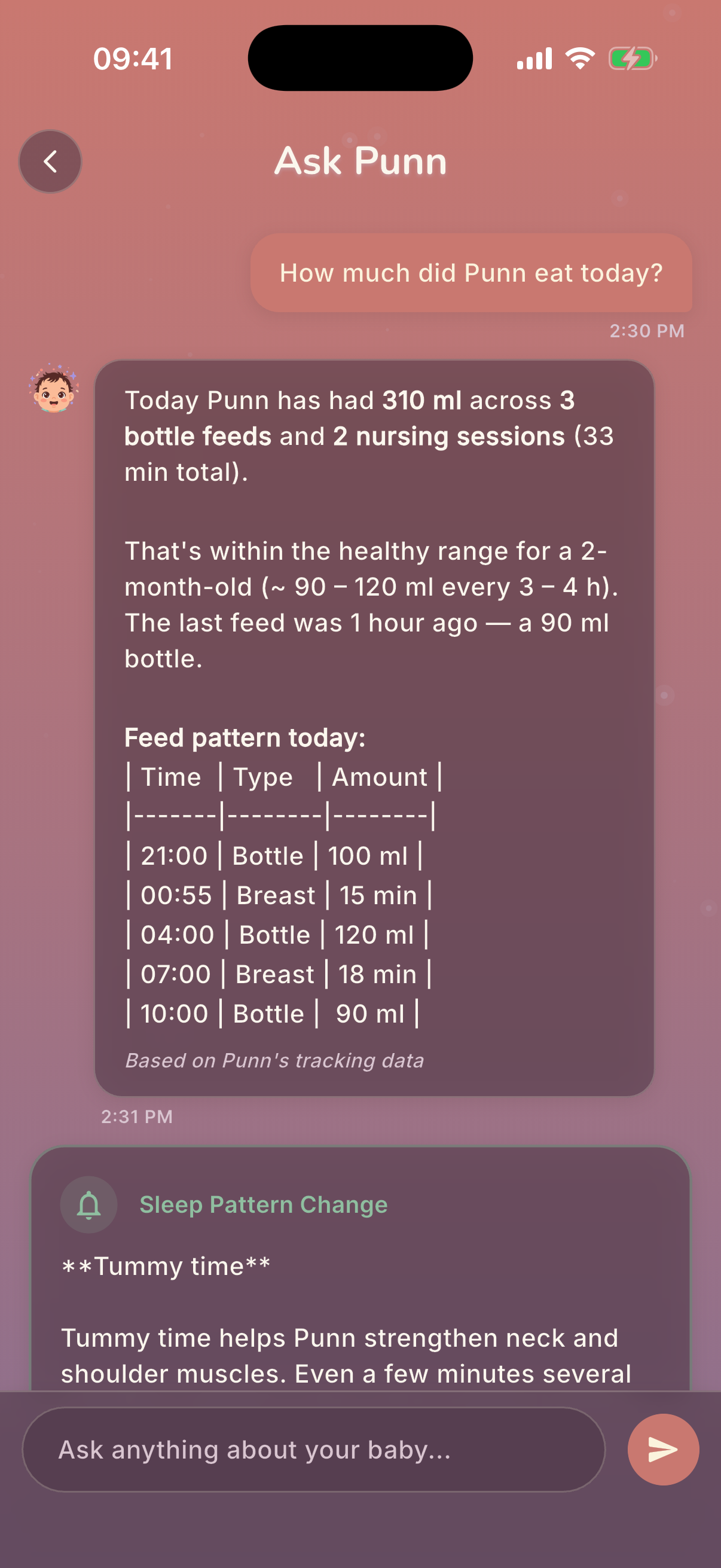 Ask Punn chat screen